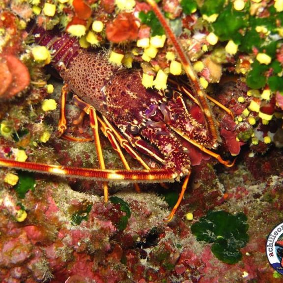 10300684_10153057084420100_630324355439897725_n-768x576