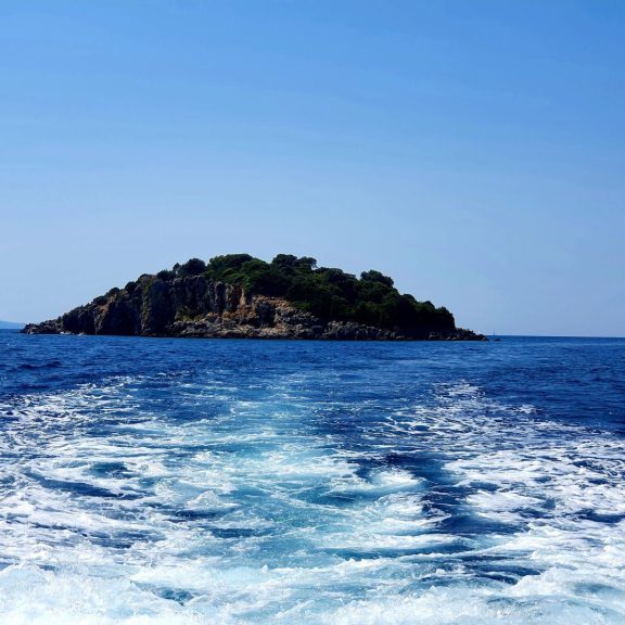 20210817_112416-2-768x576