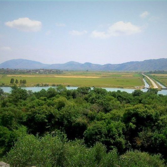 P110531_140426-2-768x533